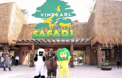 Cơ hội trải nghiệm khu vườn hoang dã ngay tại dự án Vinpearl Phú Quốc 3